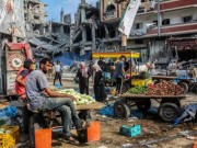 في سباق "البقاء" تُهزم قيمة "الشهادة" بغزة!