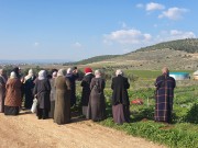 بين مخالبِ الاستيطان وعروق الزعتر.. نساءٌ يرسمنَ حدودَ الوطن