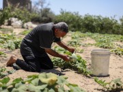 ميراث الإبادة.. الحرب التي استوطنت في "مسام" الأرض