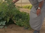 مزارعو الشيخ عجلين يعيدون إحياء كروم العنب والتين