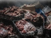 لحومٌ فاسدة وموائد "خطر" في صيف غزة!